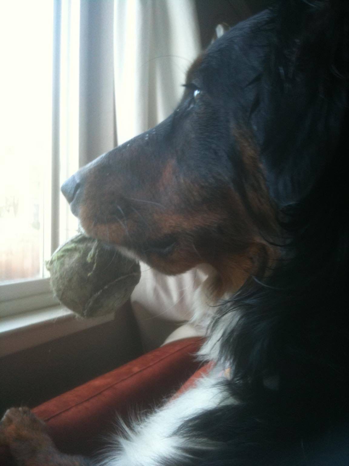 Chester